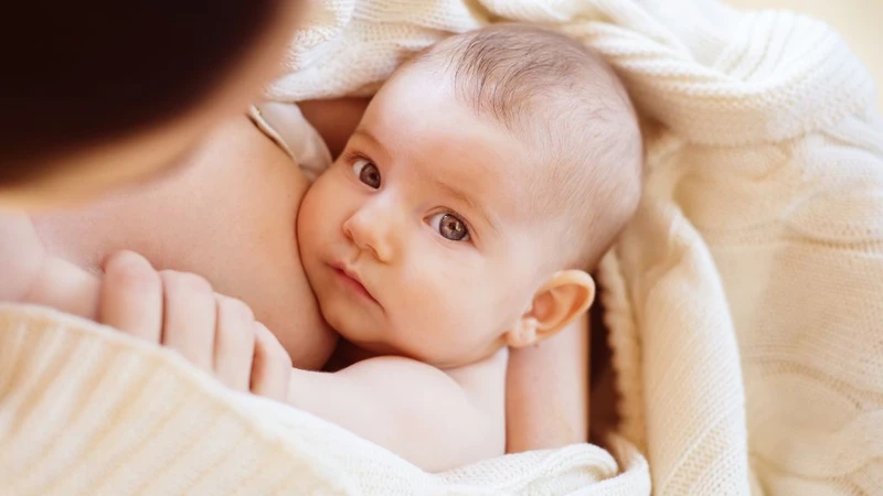 Cho con bú ăn mướp đắng được không? Có tốt không? 2