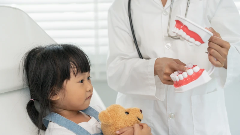 Cha mẹ nên đưa trẻ đi khám nha sĩ nếu răng mọc lệch hoặc có dấu hiệu bất thường