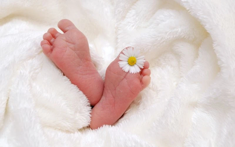 Khám mắt định kỳ cho trẻ sinh non có vai trò vô cùng quan trọng, đặc biệt trong những tuần và tháng đầu đời