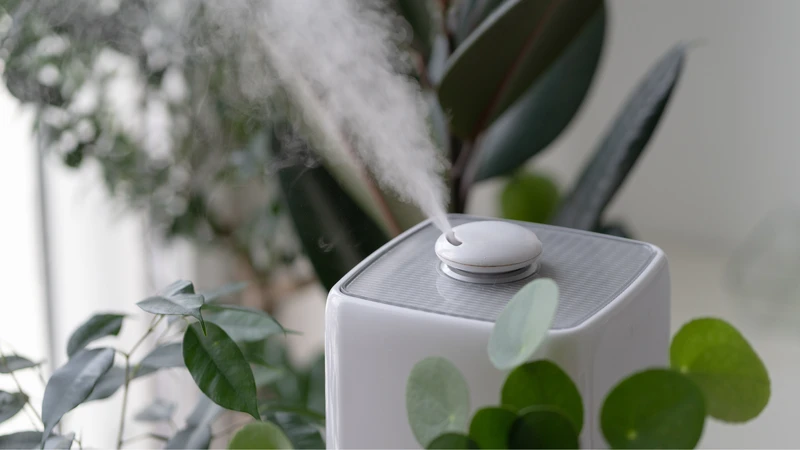 Trẻ sơ sinh bị ho có đờm là dấu hiệu bệnh gì? Biện pháp chữa ho tự nhiên cho trẻ 2