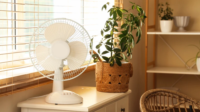 Cha mẹ cho trẻ sơ sinh nằm quạt nên chọn mức gió nhẹ