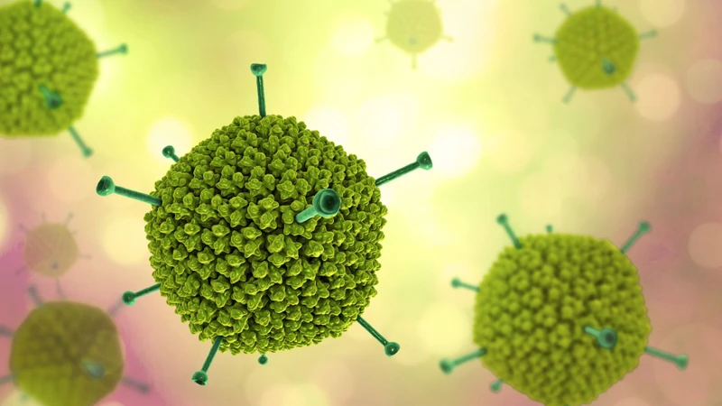 Adenovirus có thể lưu hành quanh năm nhưng thường bùng phát vào mùa hè hoặc thời điểm giao mùa