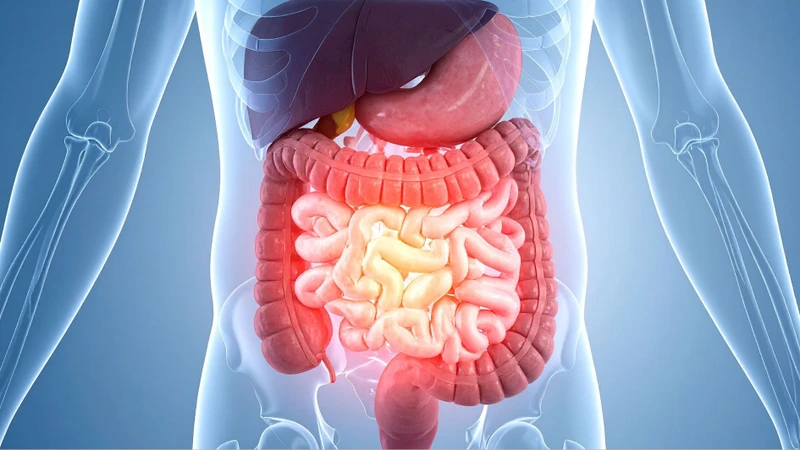 Tổn thương niêm mạc ruột non có thể làm giảm hoạt động của lactase