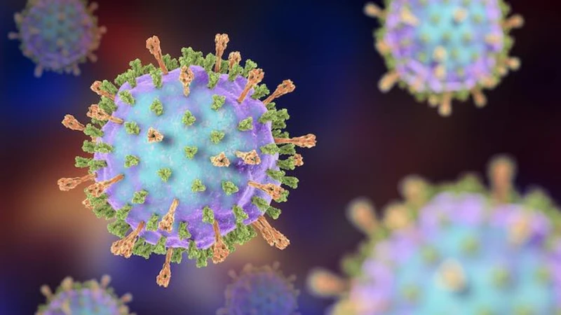 Quai bị là bệnh truyền nhiễm cấp tính do virus thuộc họ Paramyxoviridae gây ra