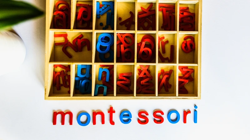 Phương pháp giáo dục Montessori do nhà giáo dục Maria Montessori sáng lập