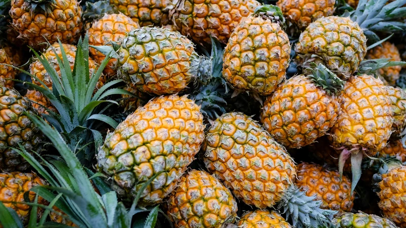 Trong dứa có enzyme gì?