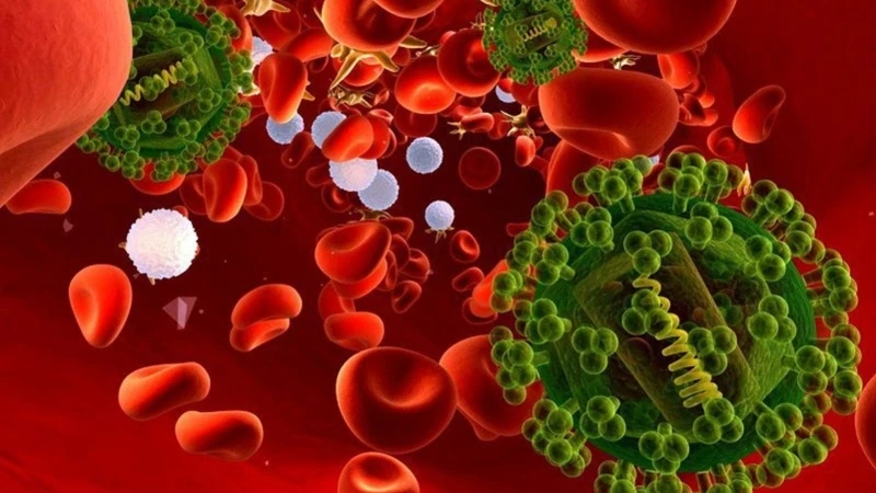 Trực khuẩn mủ xanh Pseudomonas có phải là mối nguy tiềm ẩn trong môi trường sống? 2