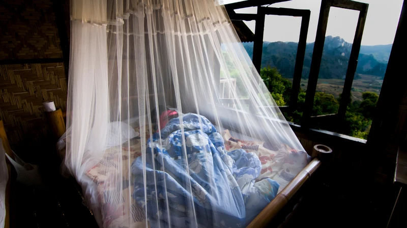 Trùng sốt rét nguyên nhân gây bệnh nguy hiểm 3