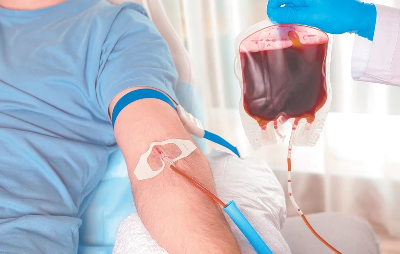 Quy trình truyền máu cần tuân thủ nghiêm ngặt các nguyên tắc y khoa để hạn chế rủi ro