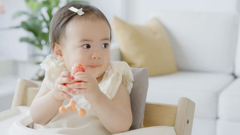 Túi nhai ăn dặm là một dụng cụ hỗ trợ cho bé từ khoảng 6 tháng tuổi