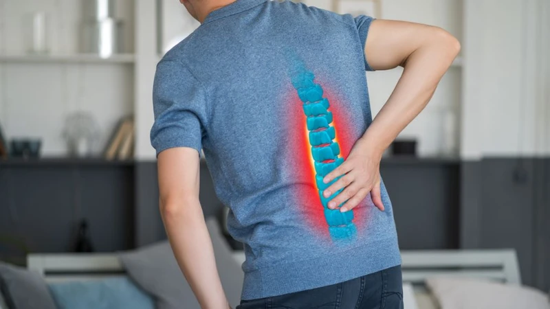 Bạn hoạt động thường ngày bình thường được nhờ vào chức năng của tuỷ sống 3
