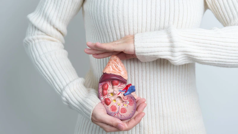 Tuyến thượng thận: Cấu tạo, vai trò và cách chăm sóc khỏe mạnh 1