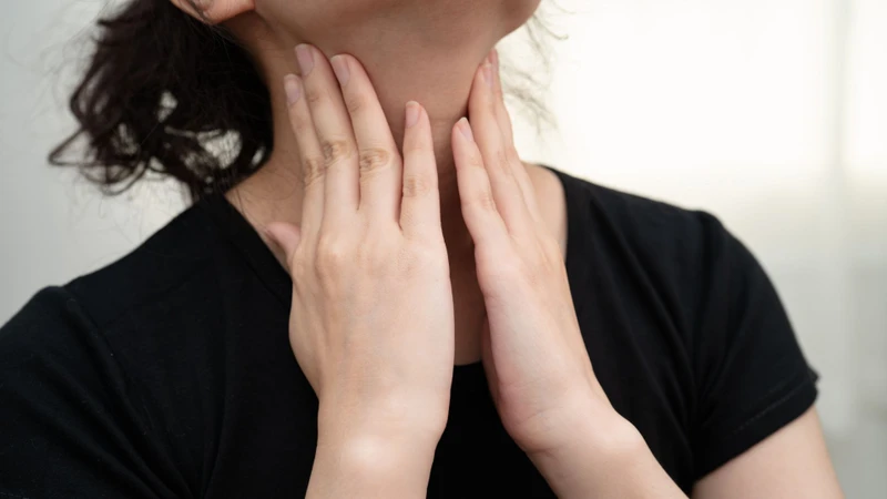 Tuyến nước bọt được cấu tạo từ các nang tuyến ngoại tiết giúp tiêu hóa tinh bột ngay từ khoang miệng