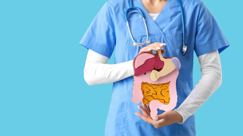 Khám sức khỏe định kỳ giúp kiểm tra chức năng tuyến tiêu hóa và bảo vệ sức khỏe lâu dài