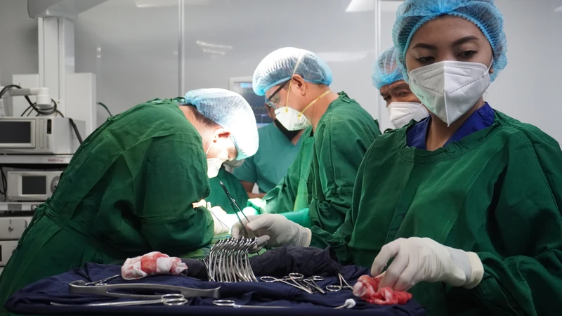Có thể được lựa chọn phẫu thuật để loại bỏ u hạt tùy theo vị trí và mức độ tổn thương