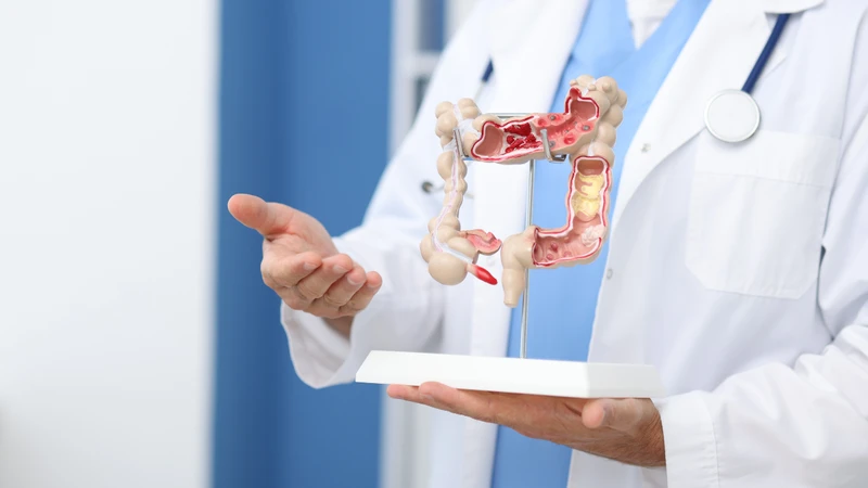 Manh tràng là một phần quan trọng trong cấu trúc của đại tràng