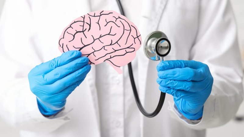 U nang màng nhện có thể hình thành từ giai đoạn phát triển của thai nhi hoặc xuất hiện sau một số tổn thương, bệnh lý