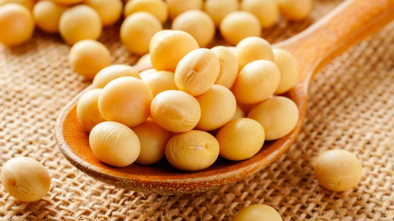 U xơ tử cung có được ăn lạc không? Những điều quan trọng cần biết 3