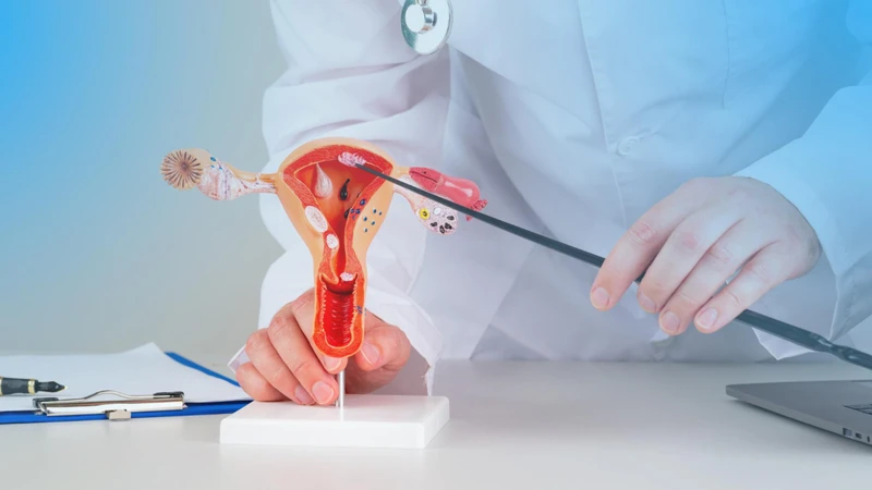 Bác sĩ sẽ cân nhắc kích thước và vị trí khối u trước khi điều trị