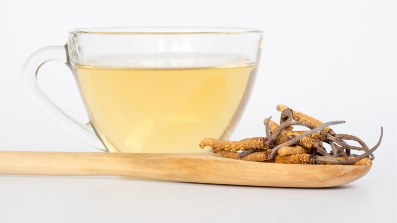 Trả lời cho câu hỏi uống đông trùng hạ thảo có mất ngủ không
