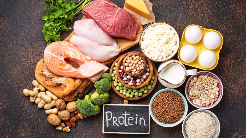Trứng, thịt nạc, sữa, các loại đậu và hạt là nguồn protein cần thiết cho quá trình tái tạo mô và sản xuất hormone