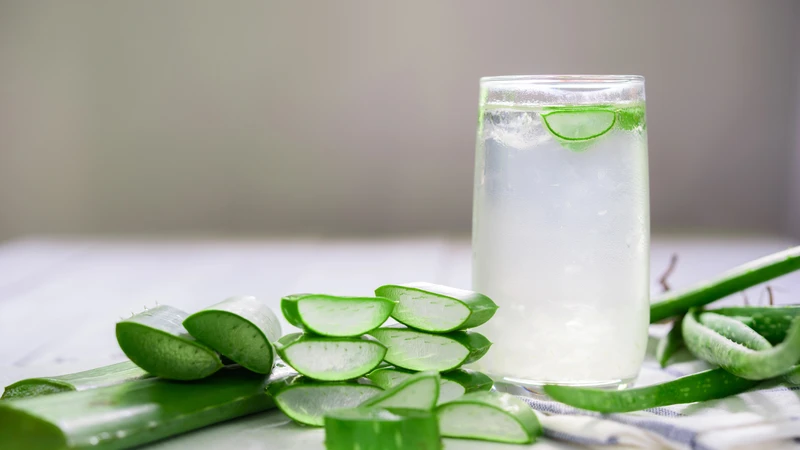 Nha đam chứa nhiều nước và một số hợp chất chống oxy hóa
