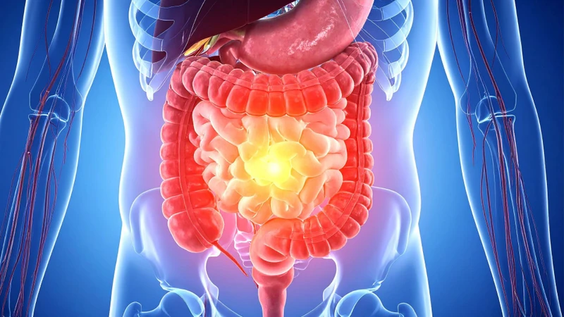 Uống mật ong có tác dụng gì? Giải đáp chi tiết và cách uống tốt nhất 2