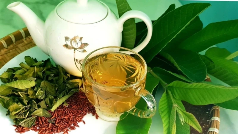 Chỉ nên uống 100 - 200ml nước lá ổi mỗi ngày và không dùng thay nước lọc