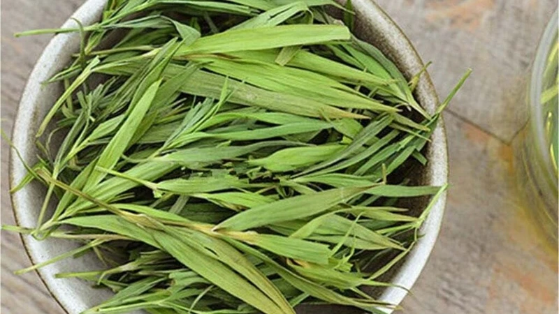 Mức 25 - 50g lá khô là liều lượng an toàn để sắc nước uống