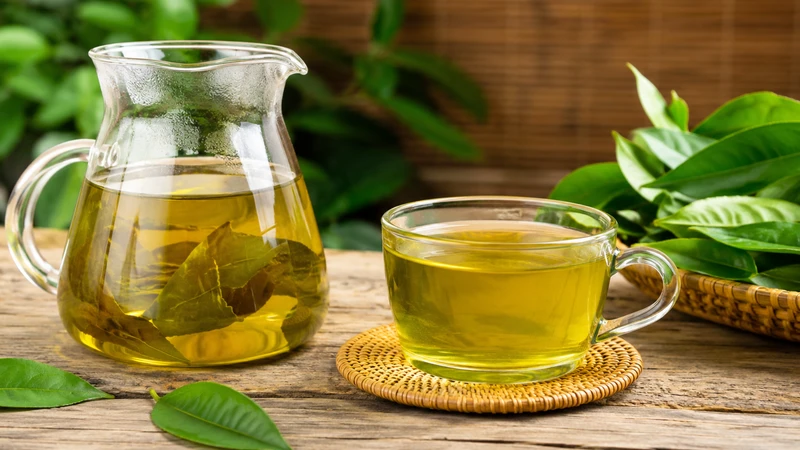 Lá vối là một loại thảo dược quen thuộc trong y học cổ truyền Việt Nam