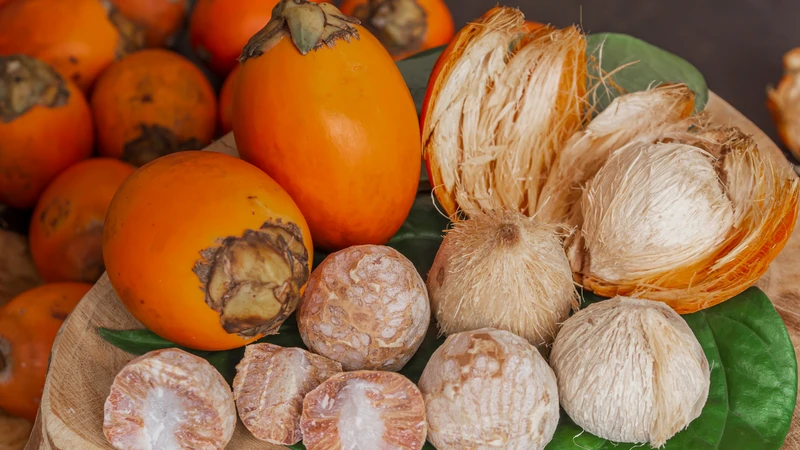 Một số hợp chất trong quả cau có khả năng chống oxy hóa tự nhiên
