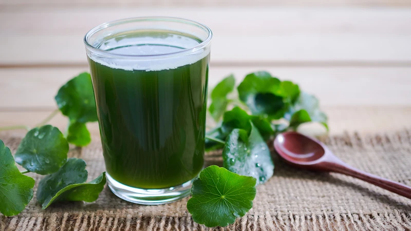 Duy trì tần suất phù hợp giúp tận dụng lợi ích của rau má mà vẫn đảm bảo an toàn