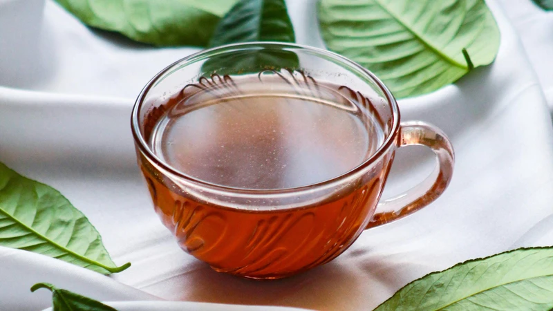 Uống trà xanh tươi mỗi ngày có tốt không? Câu trả lời là có vì mang lại nhiều lợi ích cho sức khỏe