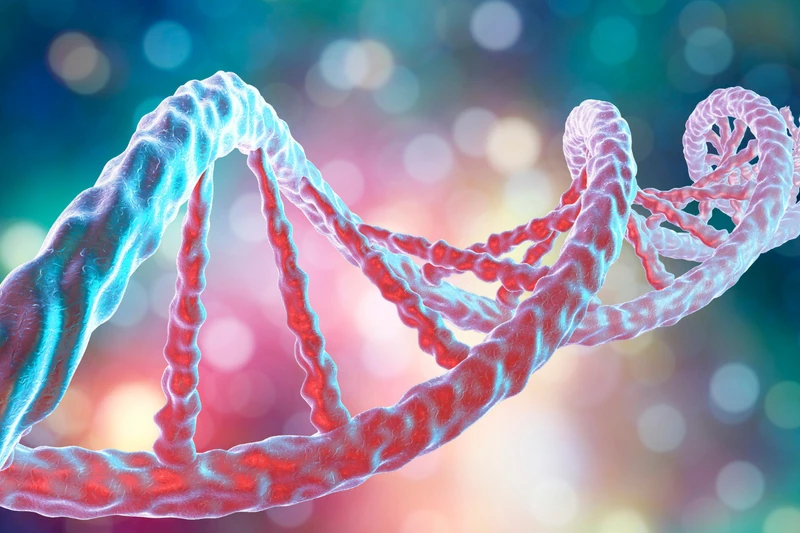 vac-xin-dna-la-gi-cac-loai-vac-xin-dna-dang-duoc-phat-trien-hien-nay 1.png