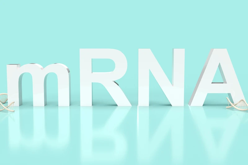 vac-xin-m-rna-la-gi-nhung-tro-ngai-va-cach-thuc-ung-dung-cua-m-rna 1.png