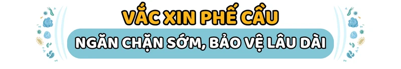 vac-xin-phe-cau.png