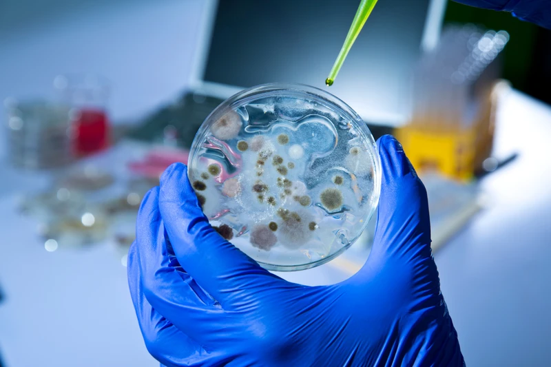 vac-xin-vector-virus-la-gi-uu-nhuoc-diem-va-kha-nang-mien-dich 4.png