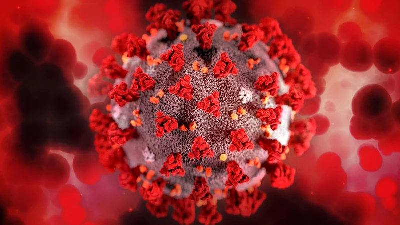 Các nhà khoa học đang tiếp tục nghiên cứu Virus Zona ảnh hưởng đến mạch máu và não như thế nào