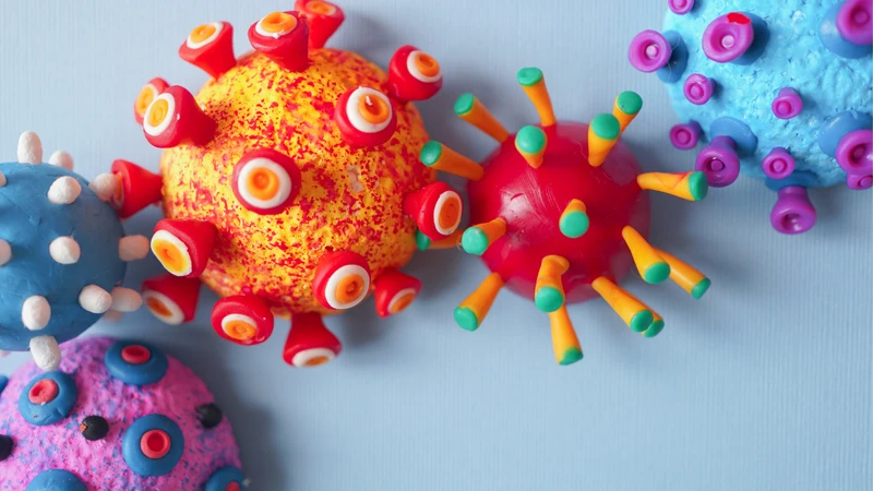 Cúm mùa do virus Influenza gây ra, trong đó cúm A và cúm B là hai nhóm virus phổ biến nhất ở người