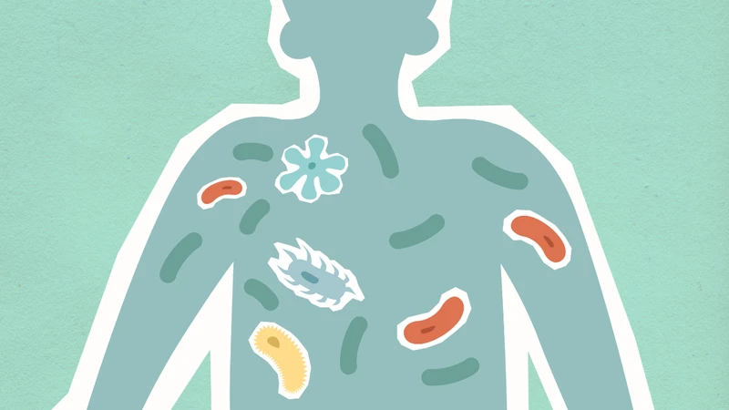 Vi khuẩn bạch hầu gây nguy hiểm cho sức khoẻ như thế nào?