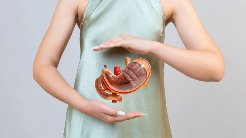 Vi khuẩn HP có lây qua đường ăn uống không? Giải đáp đầy đủ và cách phòng ngừa hiệu quả 4