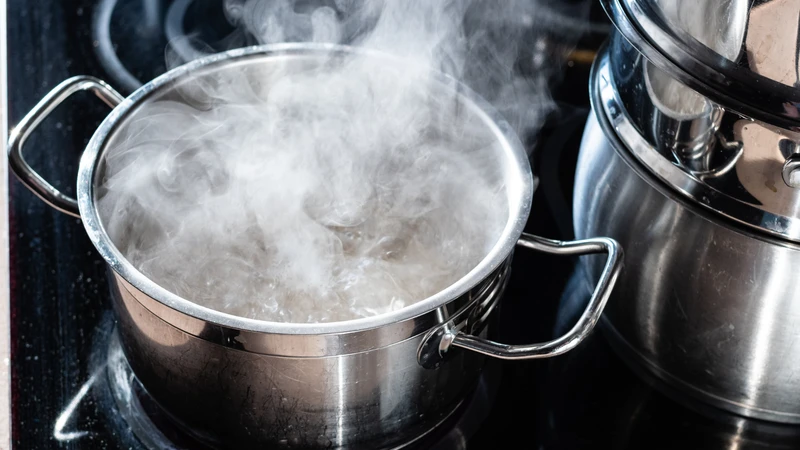 Vi khuẩn Listeria monocytogenes và những điều cần biết để bảo vệ sức khỏe 4