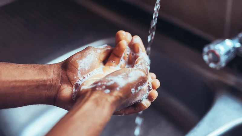 Vi khuẩn tụ cầu Staphylococcus gây bệnh gì? Cách phòng ngừa 5