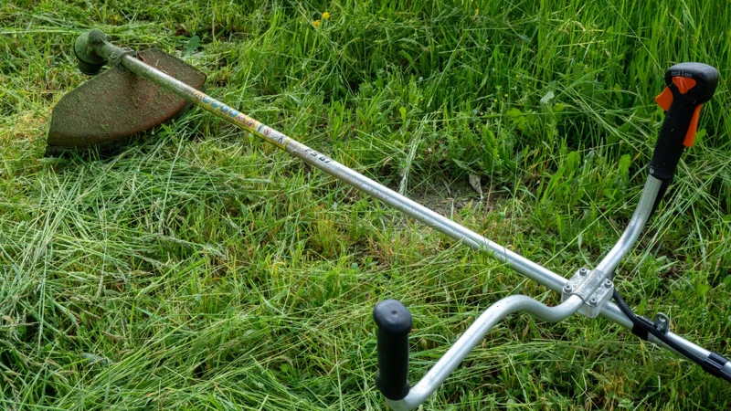Dọn bụi rậm, dùng đèn khi đi lại ban đêm và tránh tiếp xúc với rắn