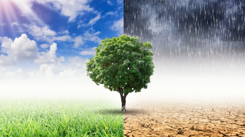 Thời tiết thay đổi đột ngột là nguyên nhân chính dẫn đến viêm da dị ứng