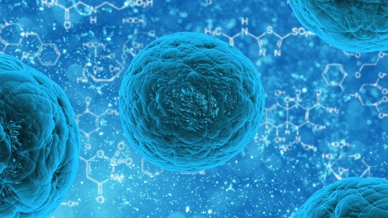 Viêm đa khớp có thể do vi khuẩn hoặc virus
