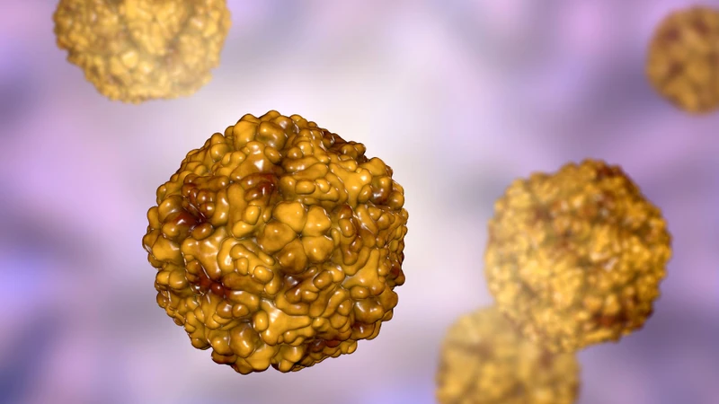 viem-mang-nao-do-virus-6.jpg