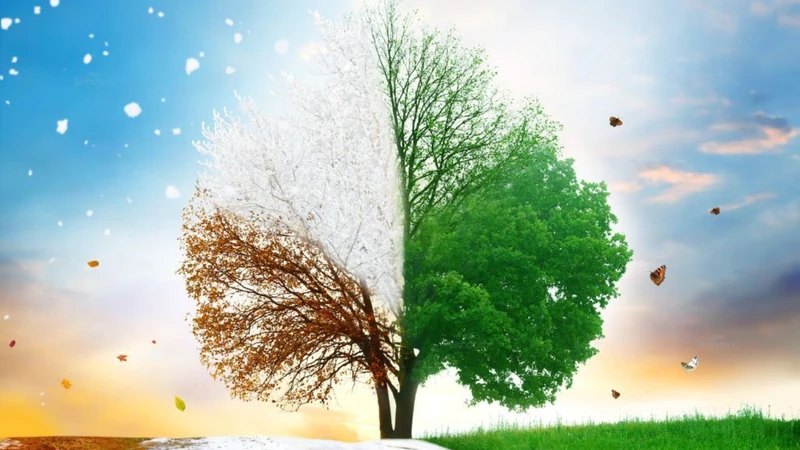 Viêm mũi dị ứng có nguy hiểm không và những điều cần biết 2