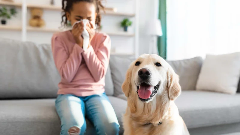 Viêm mũi dị ứng ở trẻ em và cách điều trị hiệu quả 2