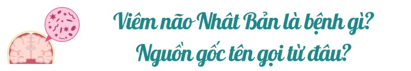 viem-mui-nhat-ban-tittle-1.png